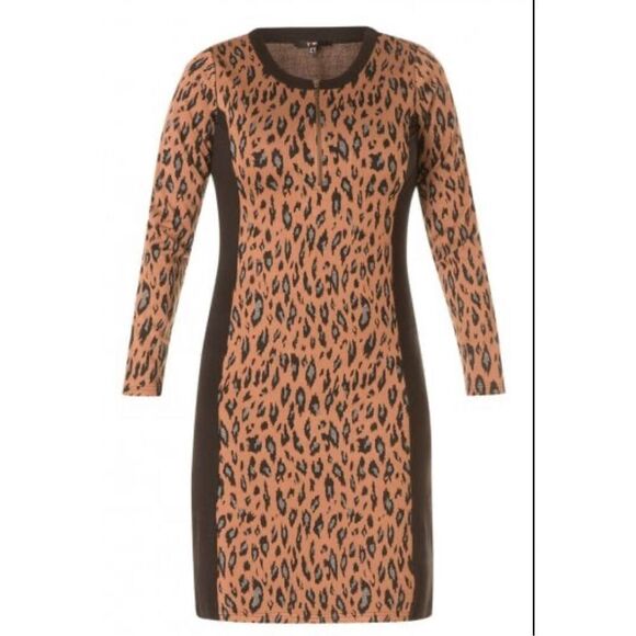 Cheetah Patterned Colorblock Dress - Picture 2 of 13